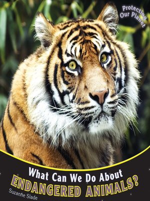 What Can We Do About Endangered Animals? - ebook